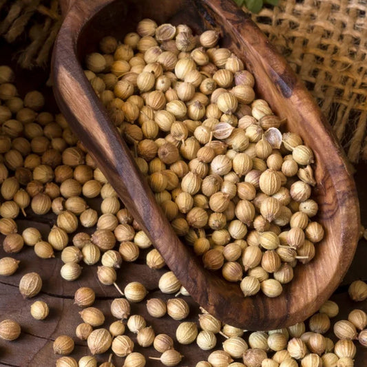 Coriander Seeds