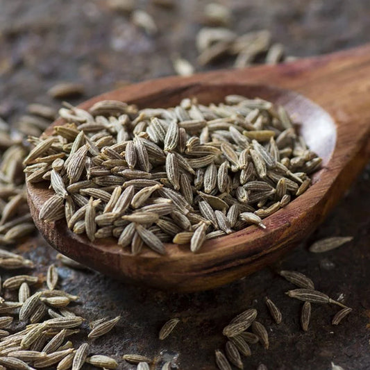 Fennel Seeds